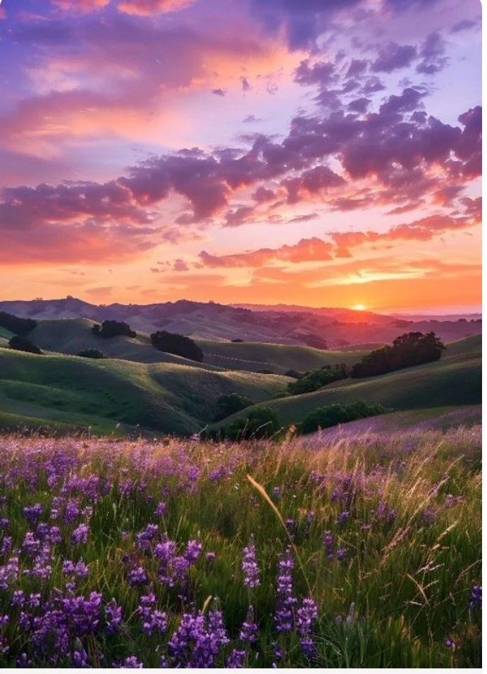 The Compassion Practice