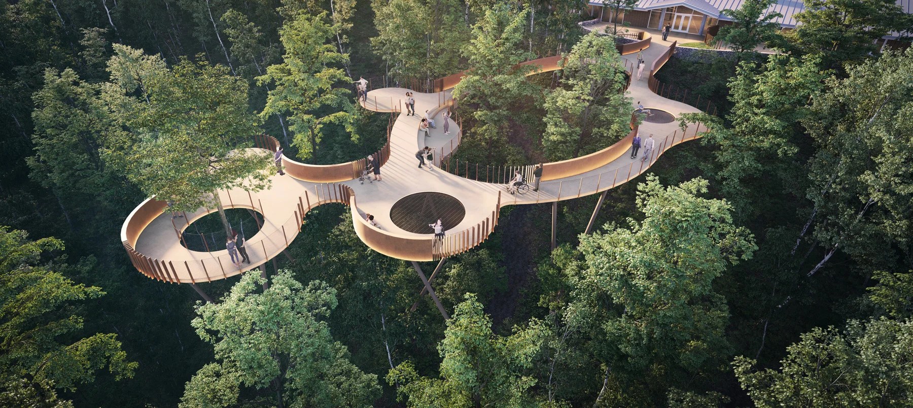 Ijams canopy walk rendering.