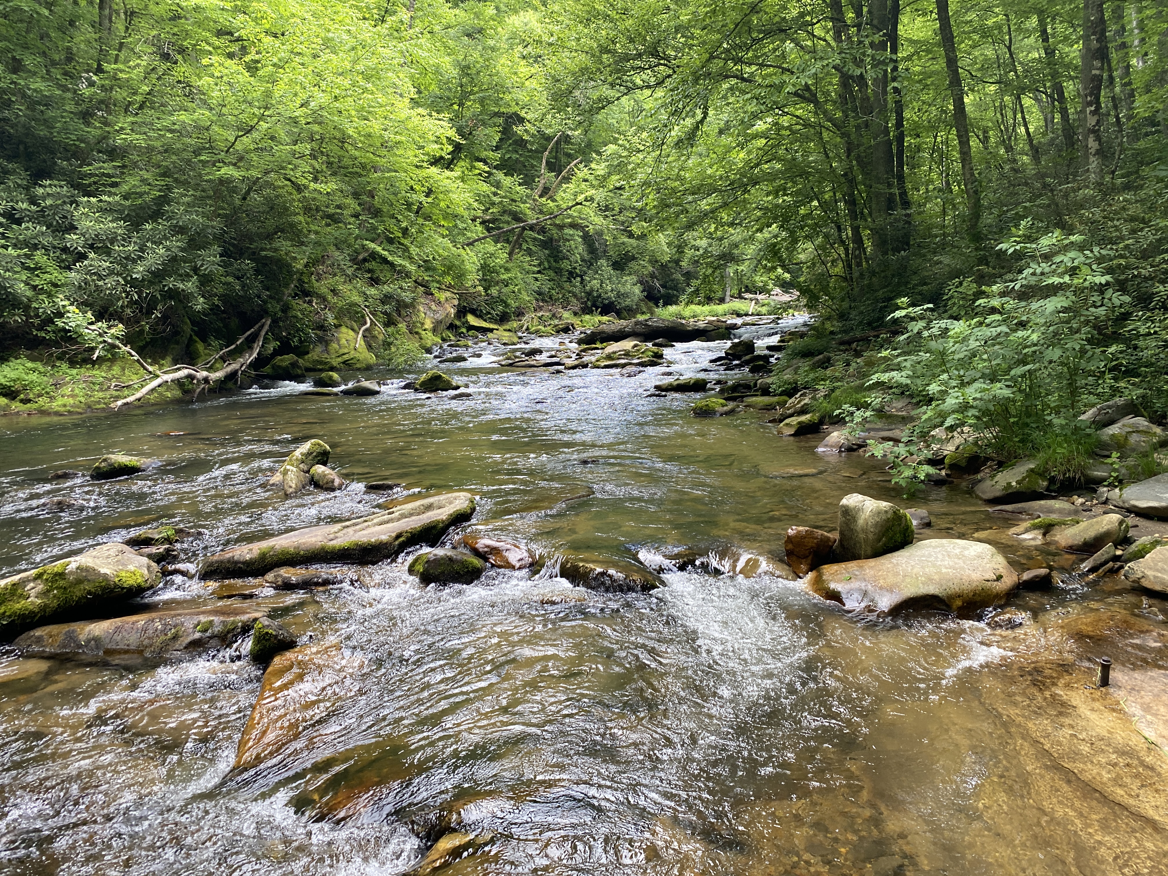 North Fork photo