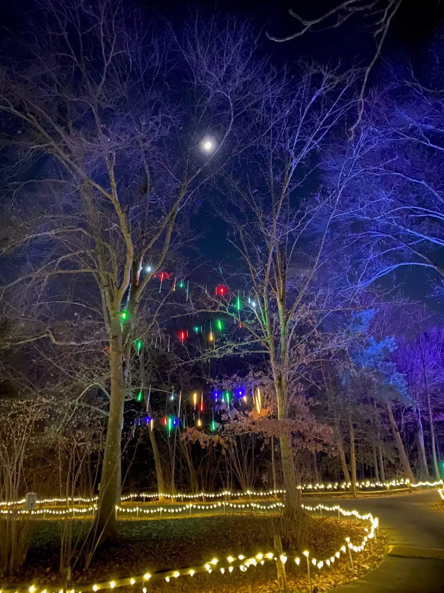 Holiday wonders of clermont county: festive delights and luminous