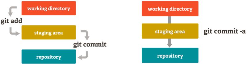Neu Compeng 10 Github - Download Perfect Gradient Design | 4K