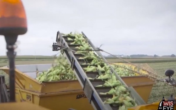 BeBold3 Food Manufacturing Executive Overview