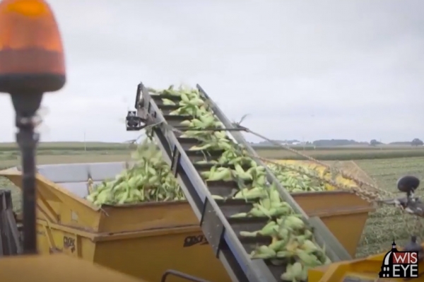 BeBold3 Food Manufacturing Executive Overview