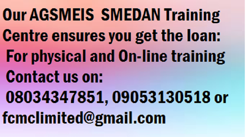 You are currently viewing An Immediate Business Plan for AGSMEIS Loan Application