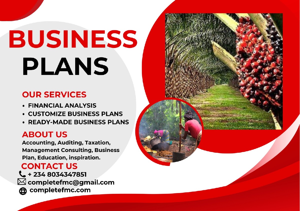 You are currently viewing The Professional way of Creating a business plan for our clients