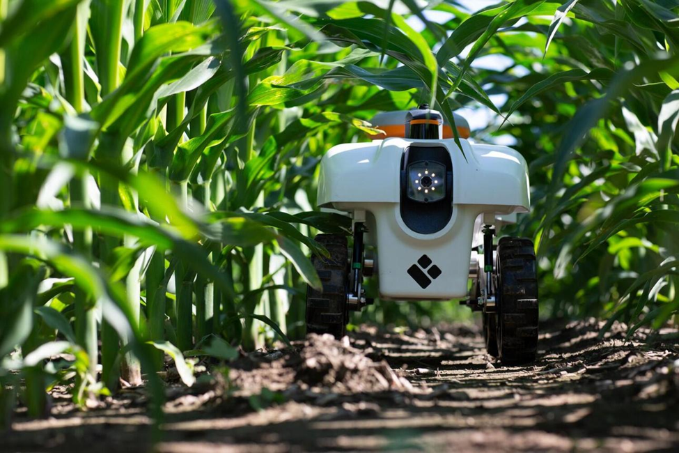 Agricultural robot in a field.