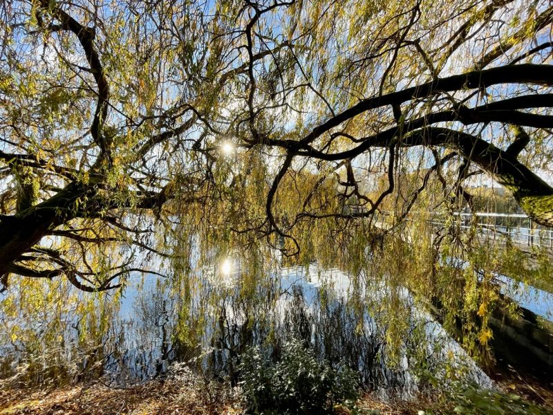 Research Complex Interface Team - High Quality Mobile Colorful Arts | Free Download