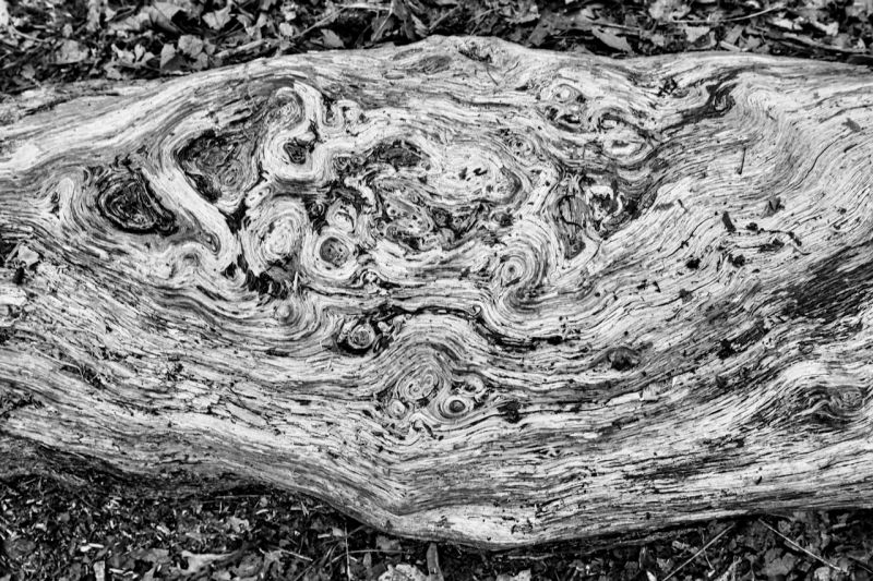 Yellow 5 Composing Catholic - Premium Ultra HD Colorful Patterns | Free Download