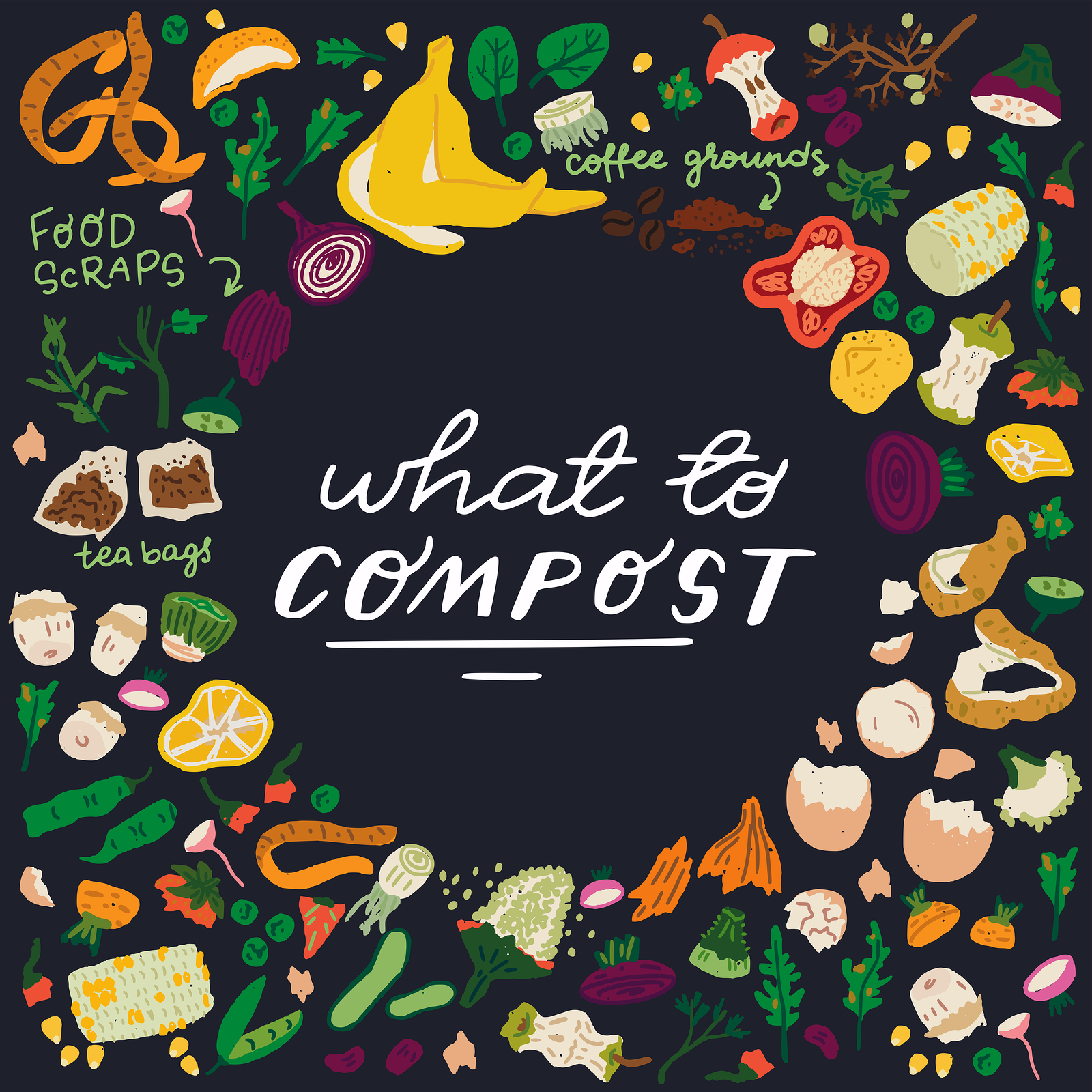 What you can and cannot put in a compost bin?