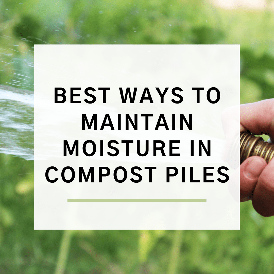 Featured image for “Best Ways To Maintain Moisture In Compost Piles”