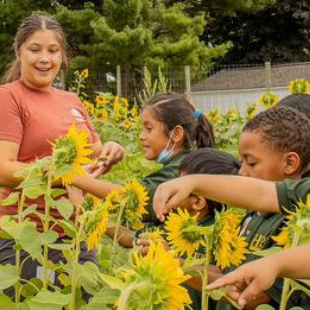 Featured image for “Breaking Down Compost with the Earth Flow”
