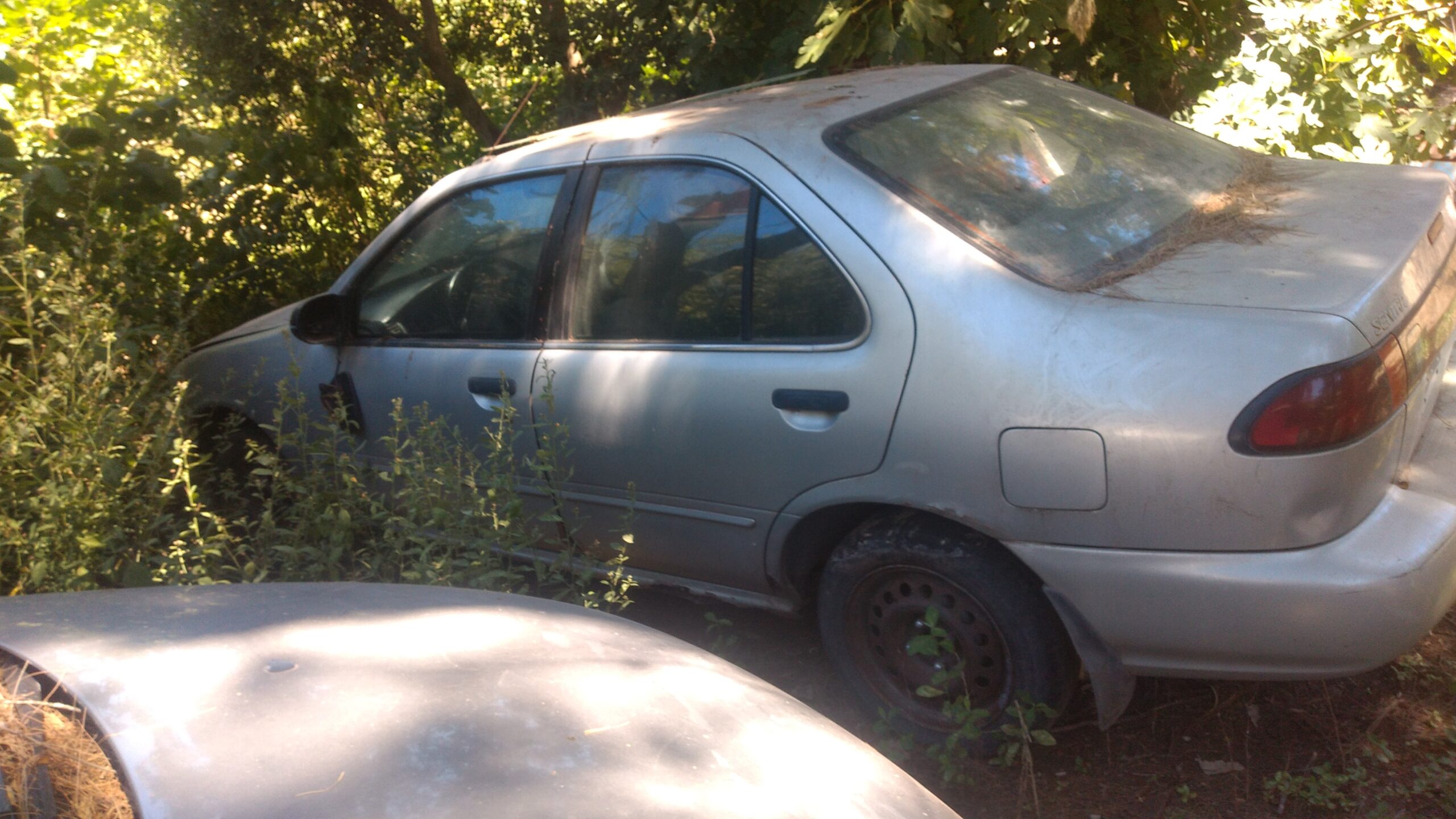 IMG-20240126-WA0028