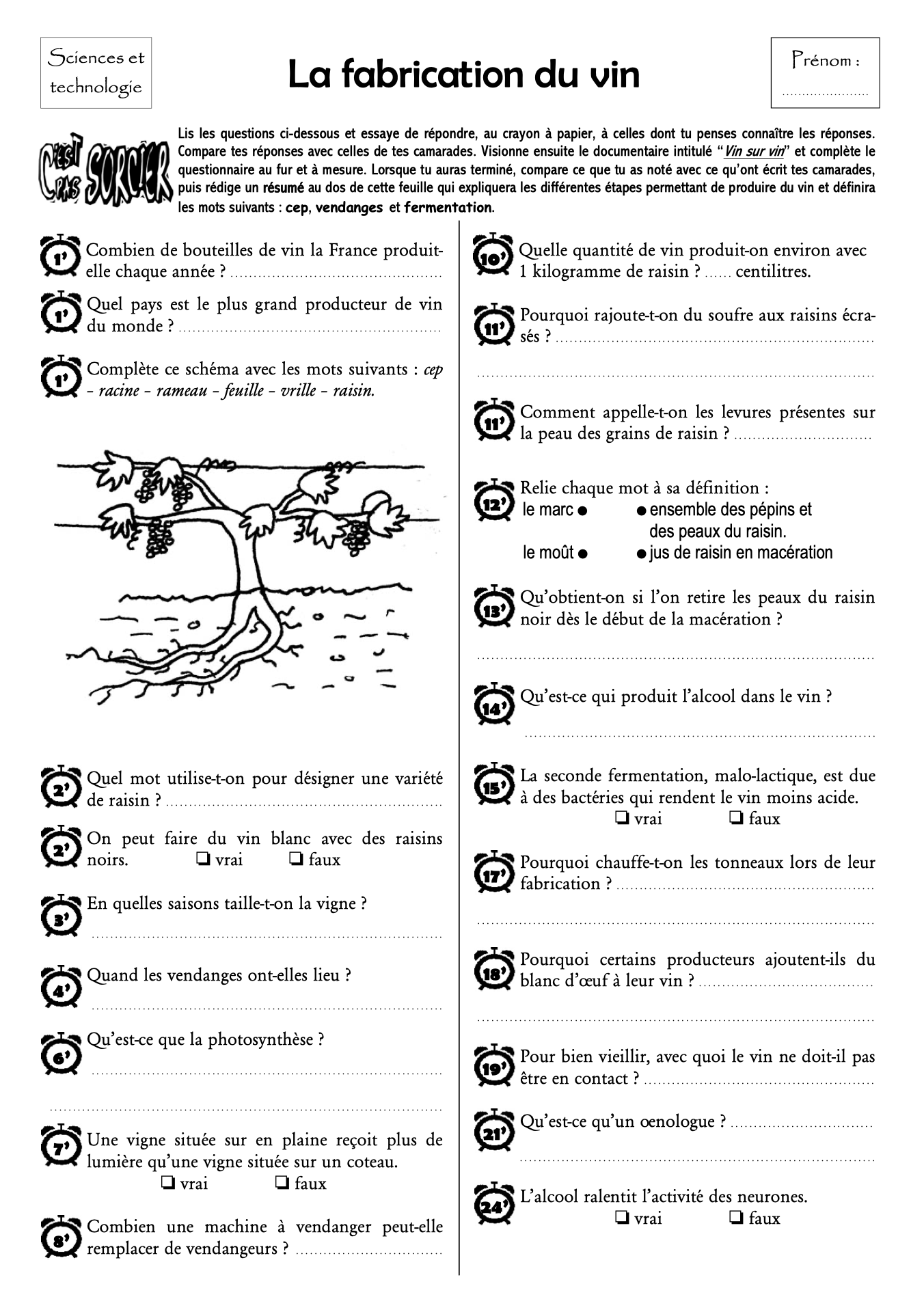 C Est Pas Sorcier Les Volcans Questionnaire Fiches c'est pas sorcier - Comptoir des cours