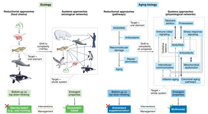 7 Complex Systems Approach Computational Aging Book - High Resolution Landscape Wallpapers for Desktop