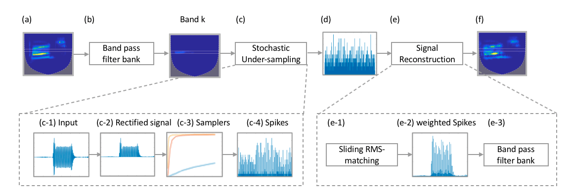 Read more about the article Modeling speech perception in hidden hearing loss using stochastically undersampled neuronal firing patterns
