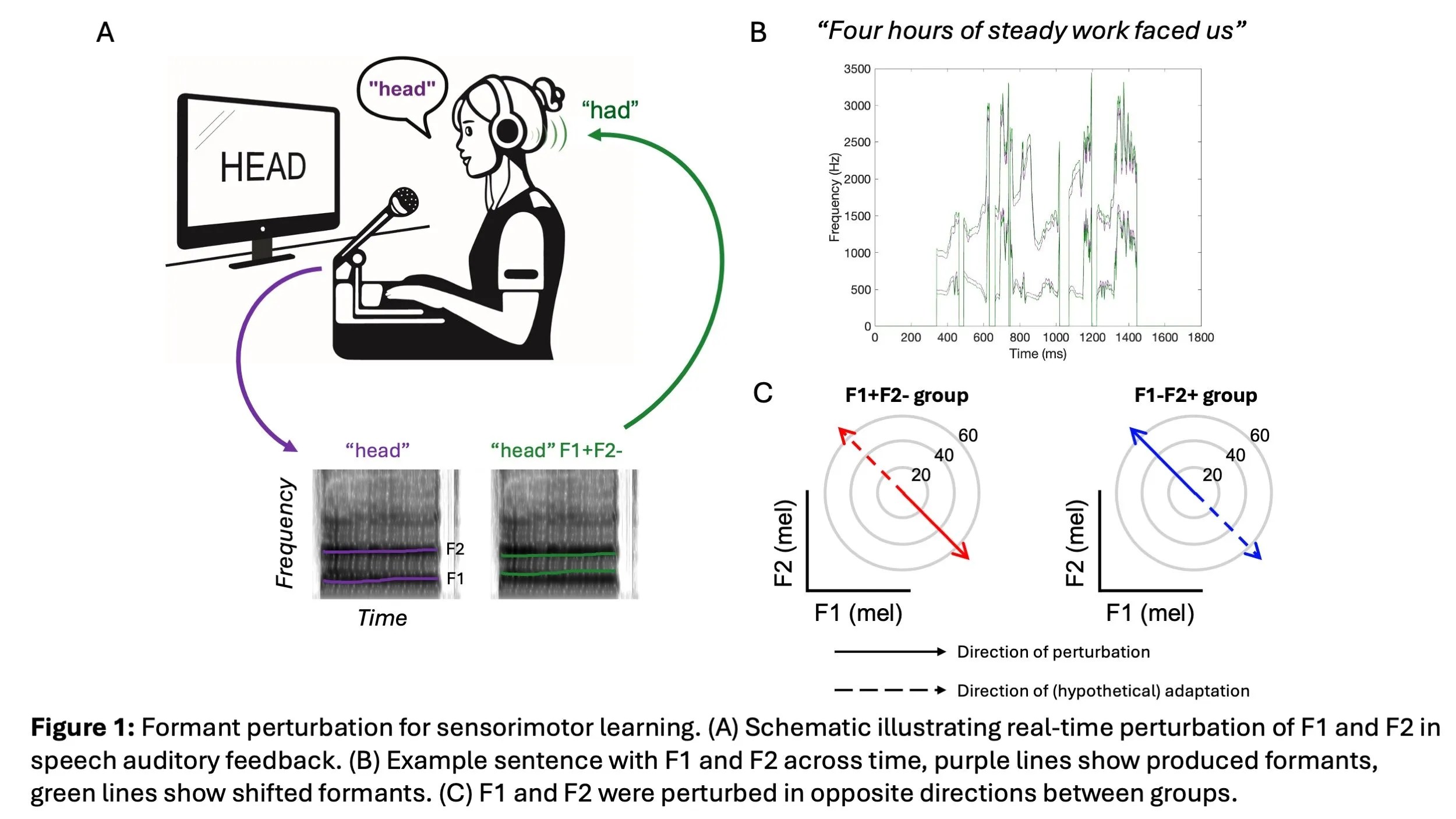 Read more about the article Perceptual and sensorimotor learning with noise vocoded speech