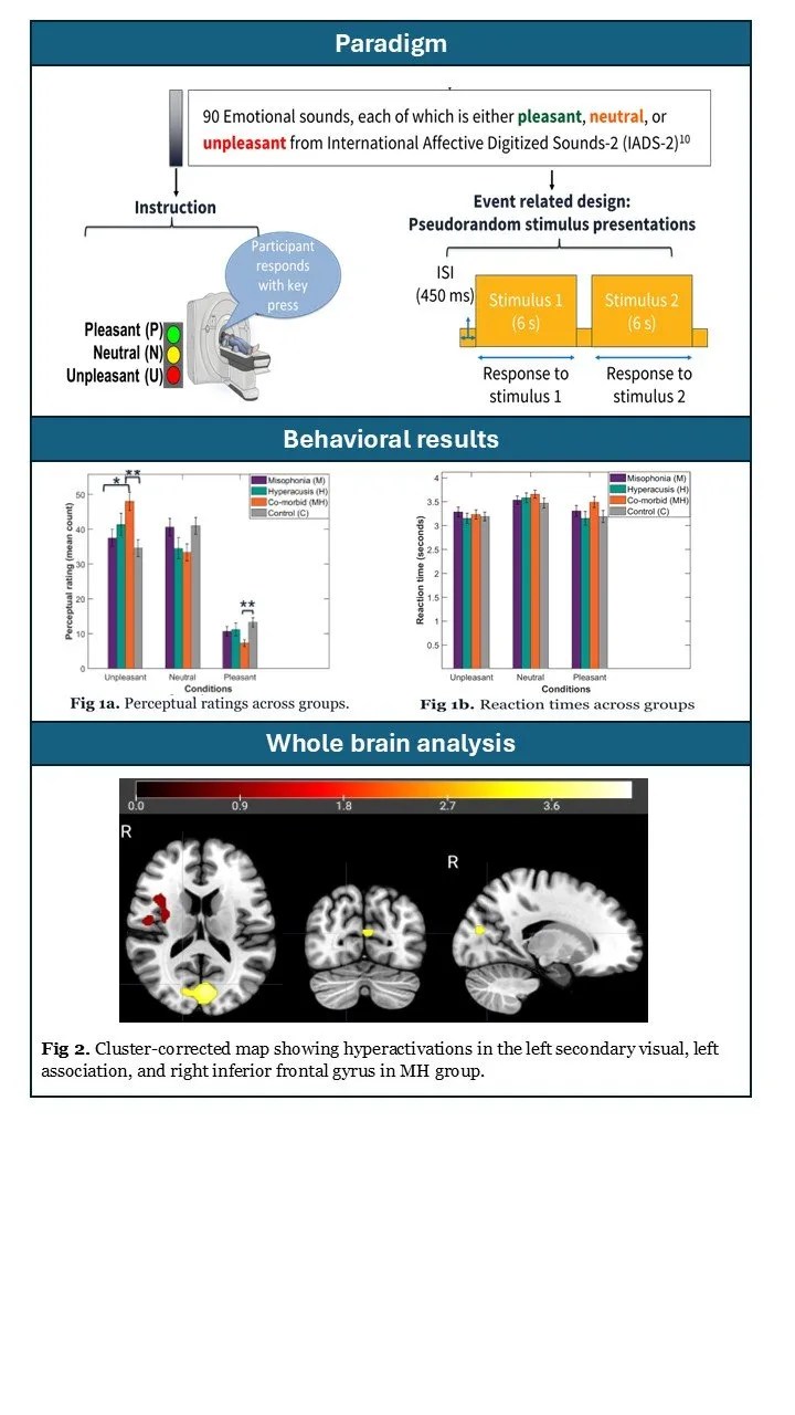 Read more about the article Neural Processing of Emotional Sounds in Misophonia and Hyperacusis: An fMRI Study