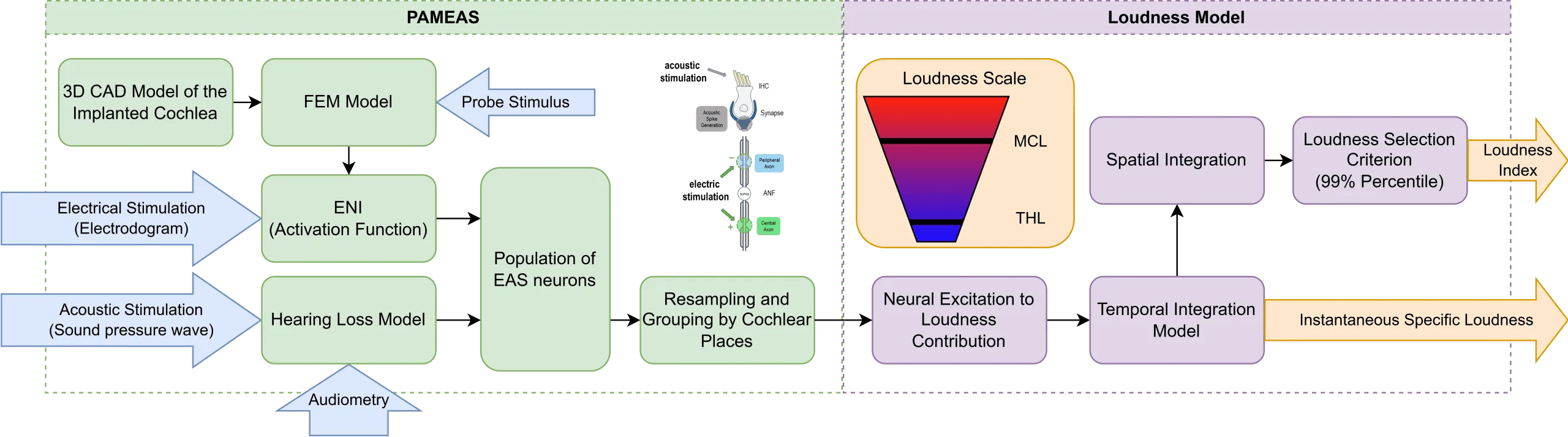 Read more about the article A computational loudness model for electric and acoustic stimulation based on peripheral neural activity