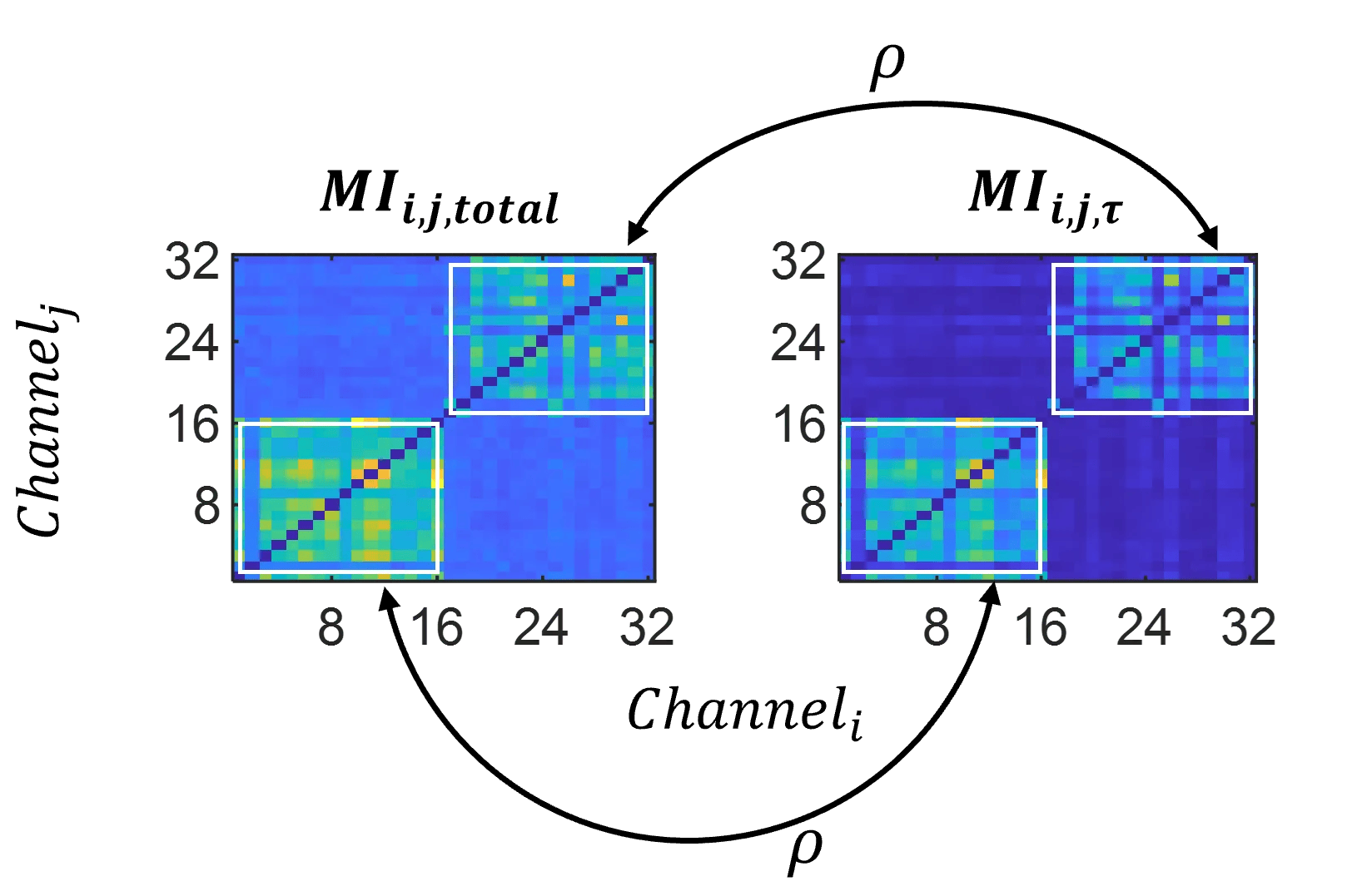 Read more about the article Mutual Information Reveals Temporal Dynamics of Functional Connectivity in Awake Auditory Cortex