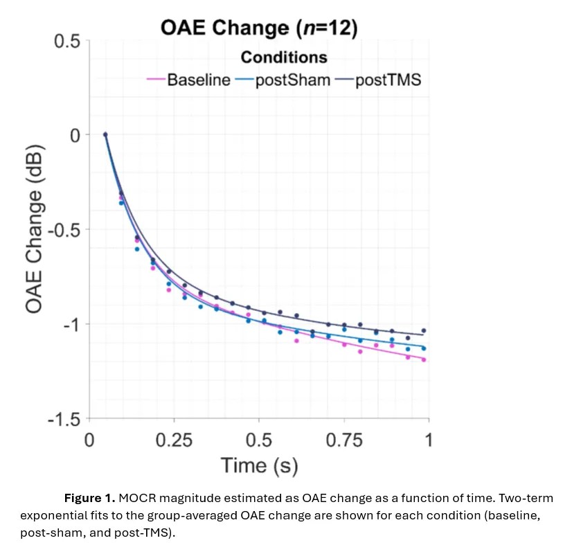 Read more about the article Modulating Auditory Feedback Loops: Does TMS Induce Changes in Efferent Function?