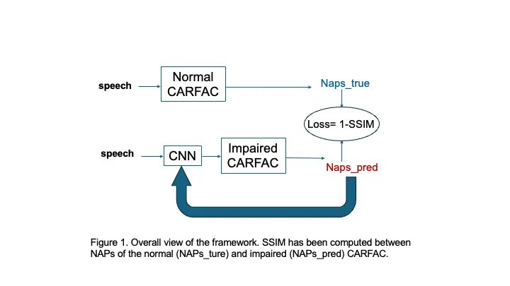 Read more about the article A Physiologically Explainable Machine Learning Framework for Hearing Aid Development
