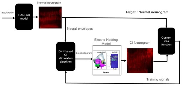 Read more about the article Biomimetic Cochlear Implant Coding: A Strategy Employing a Cochlear Model and Deep Neural Network