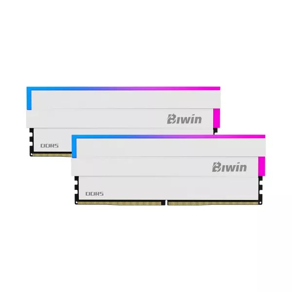 Buy Biwin White Opal DW100 DDR5 RGB RAM 64GB (32GBx2) 6000MHz CL30