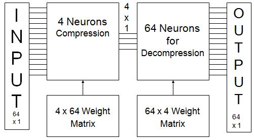 Figure 1 From Design Of Modified Distributive Arithmetic Based Dwt Processor For Image And - Premium Minimal Design Gallery - Retina