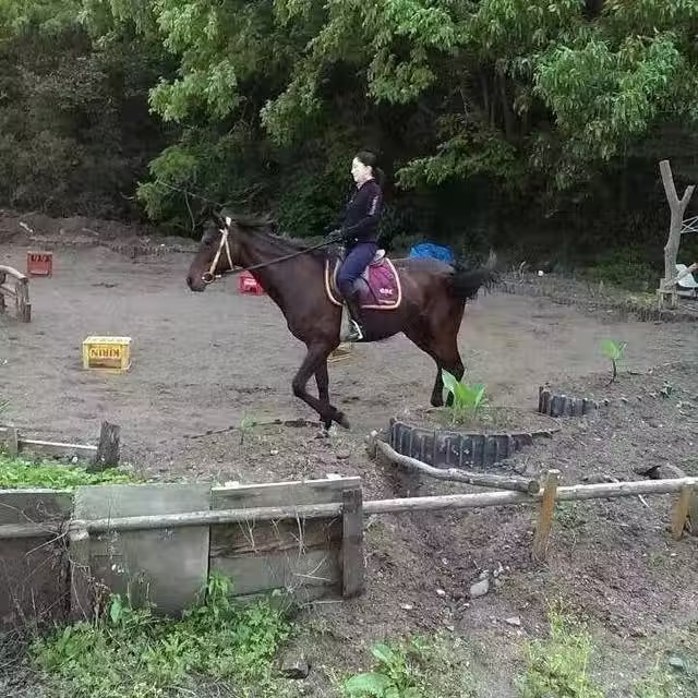 早已年過半百！素人單親媽媽「選美大賽奪冠」優雅氣質爆紅　私下穿搭也超美「還有25歲小鮮肉追」