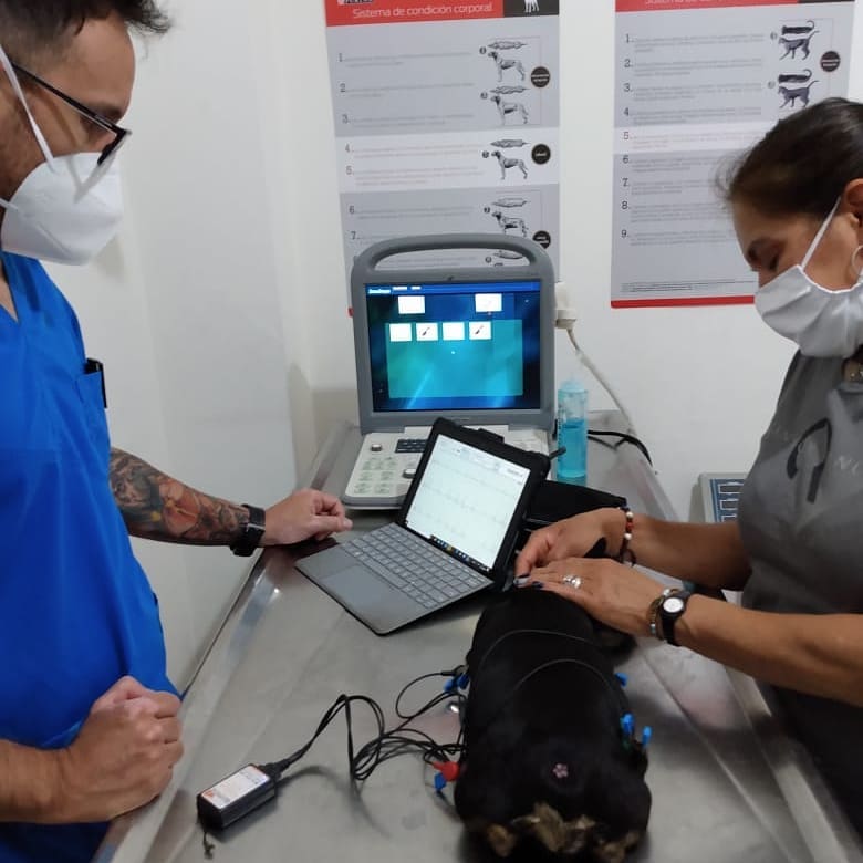 Premédica Clínica Veterinaria