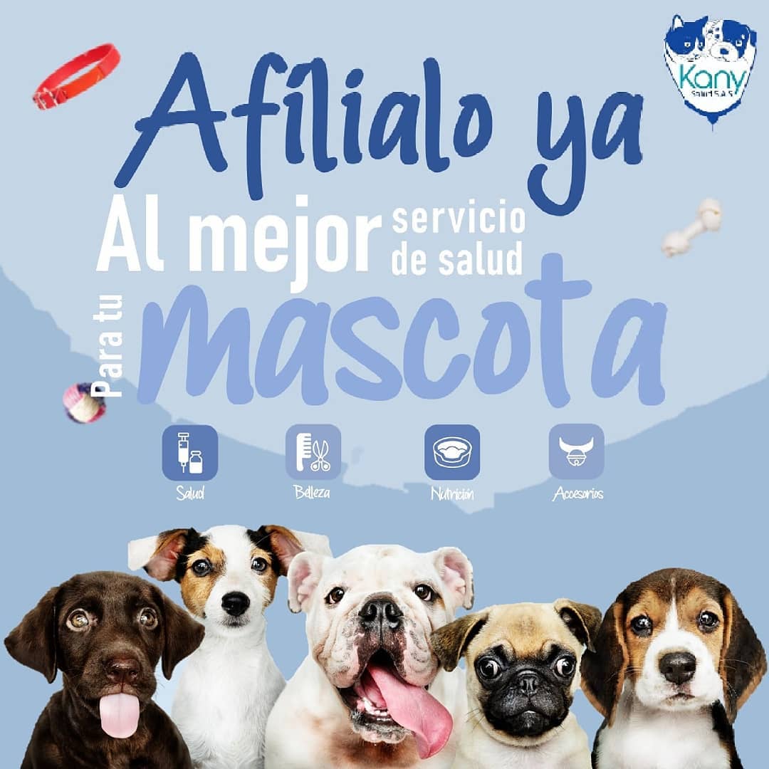 Premédica Clínica Veterinaria
