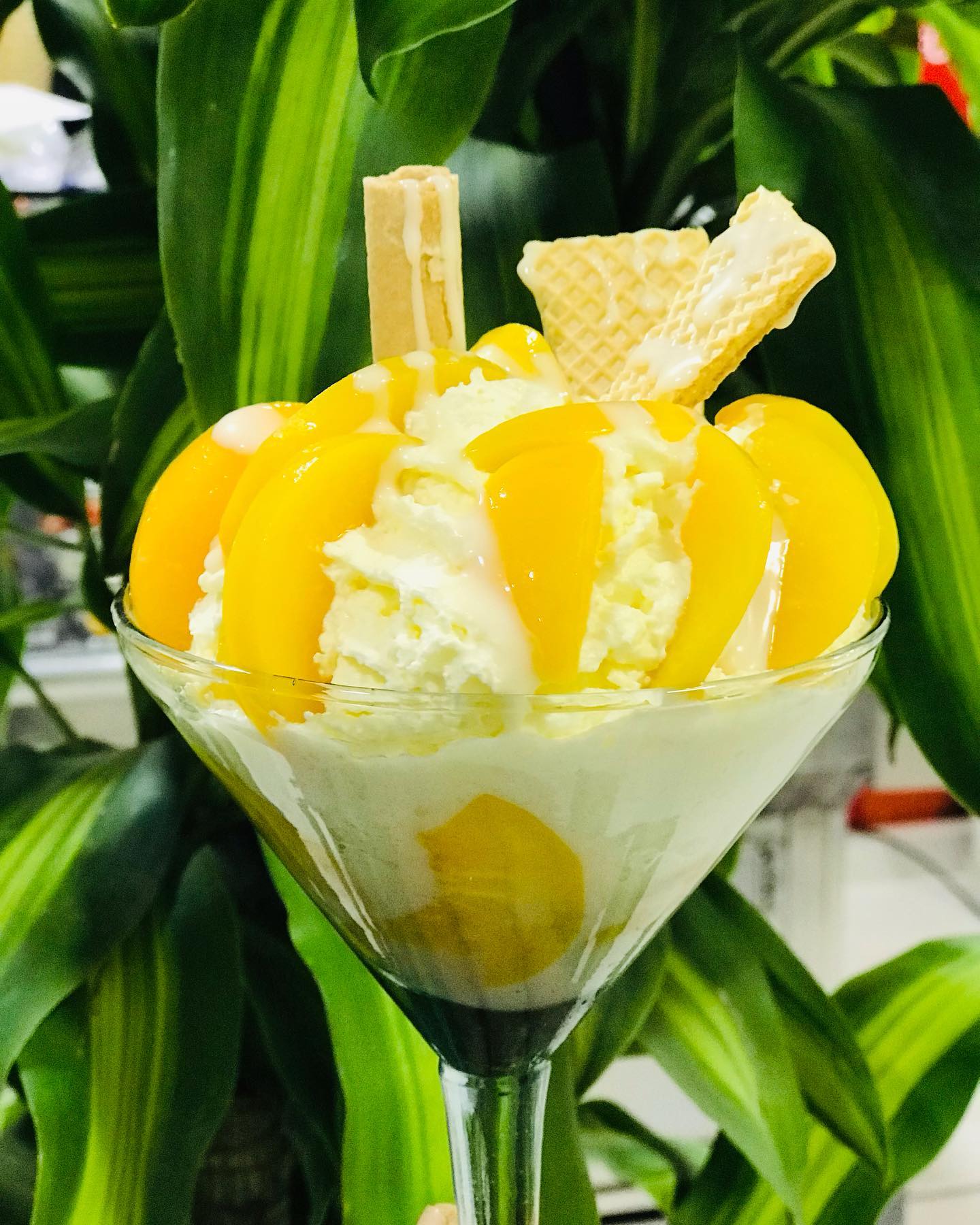 Frutty Express Lunch