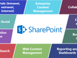 Sharepoint Application Development Services Comx Technologies
