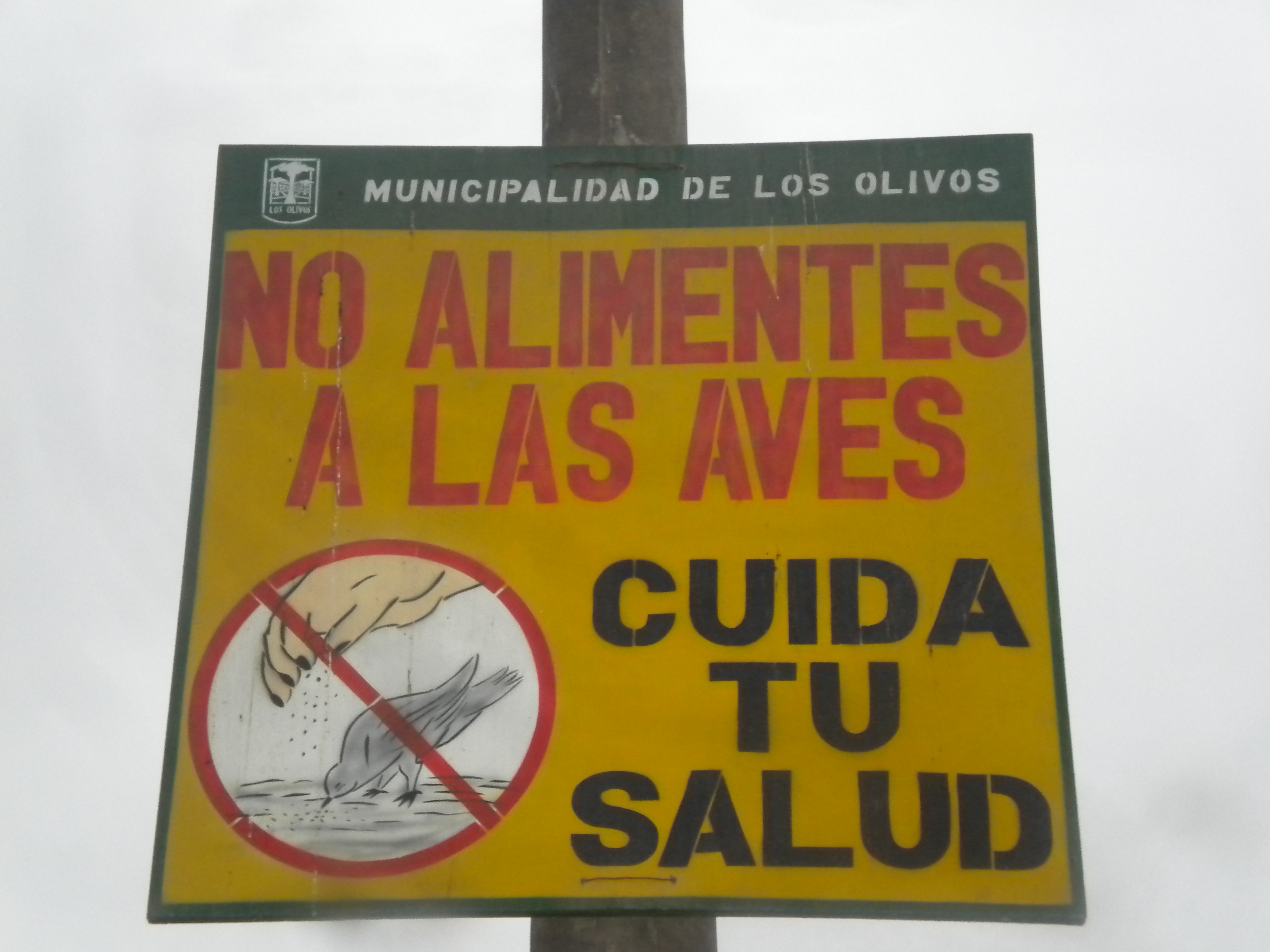 Los Olivos Lanzo Campana Cuida Tu Salud No Alimentes A Las Aves Alto Calibre