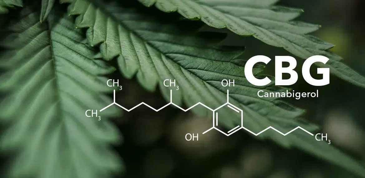 CBG chemical breakdown