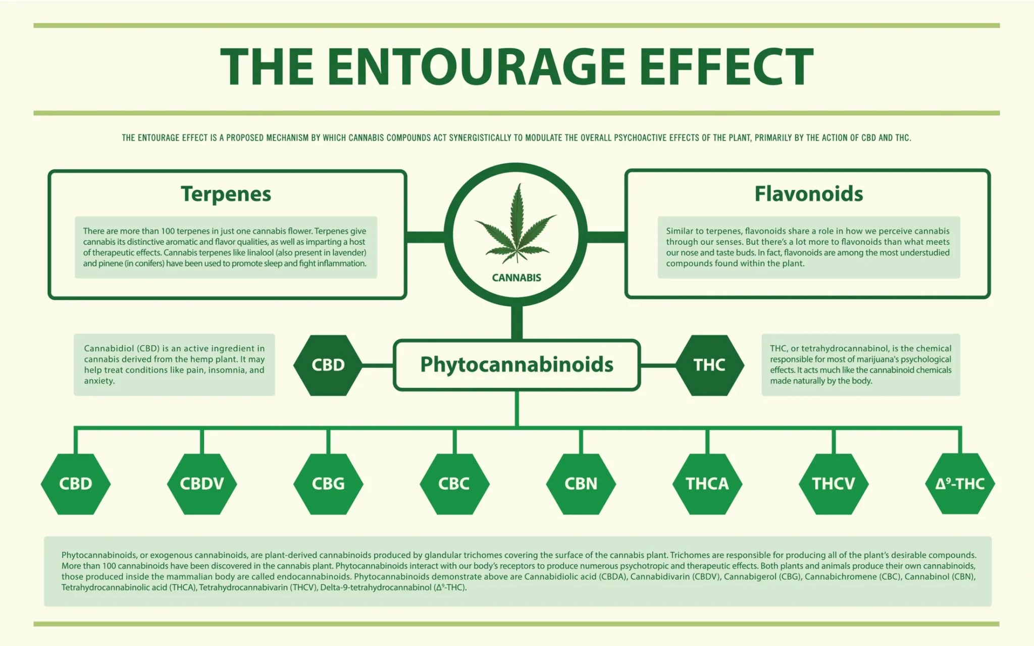 The Entourage Effect