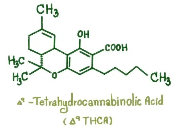 THCA Chemical Breakdown