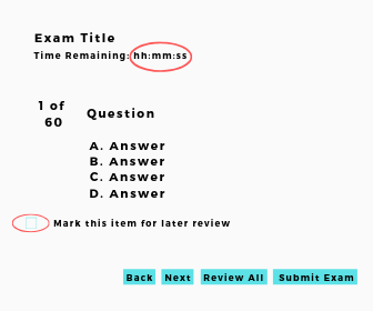 Example of Exam Screen