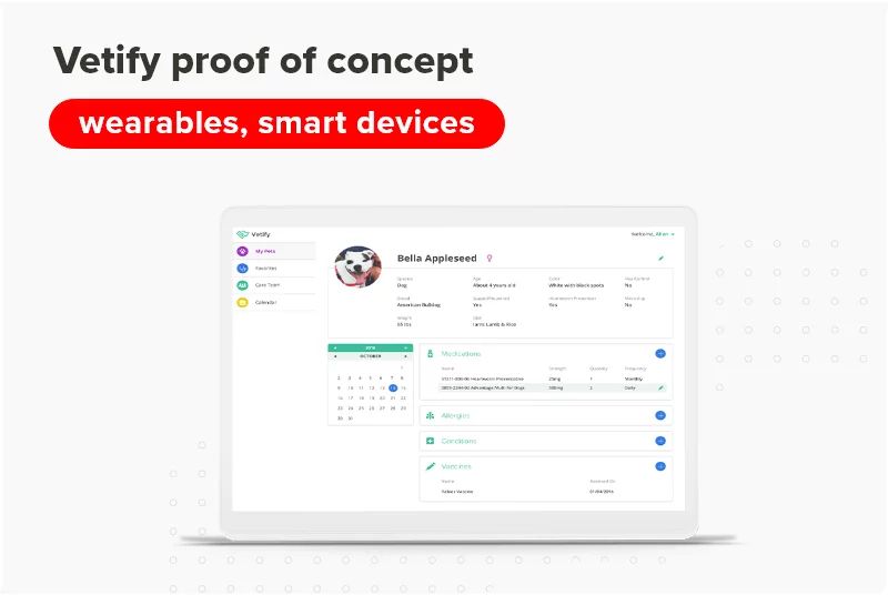 Vetify - Best Landscape Arts in Ultra HD