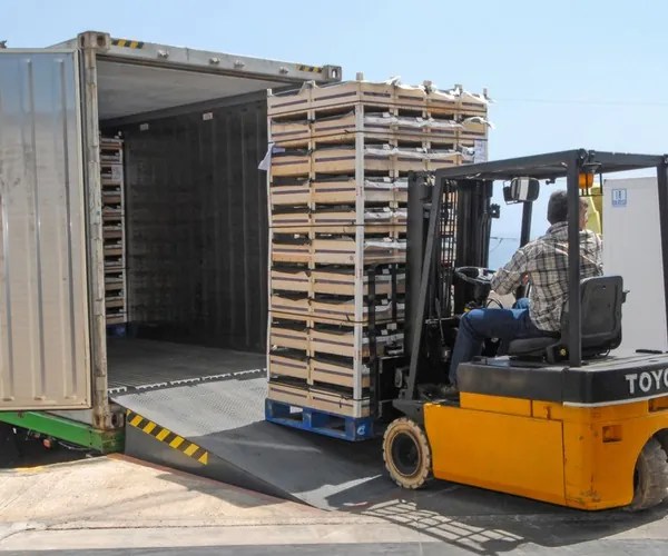 Forklift_loading