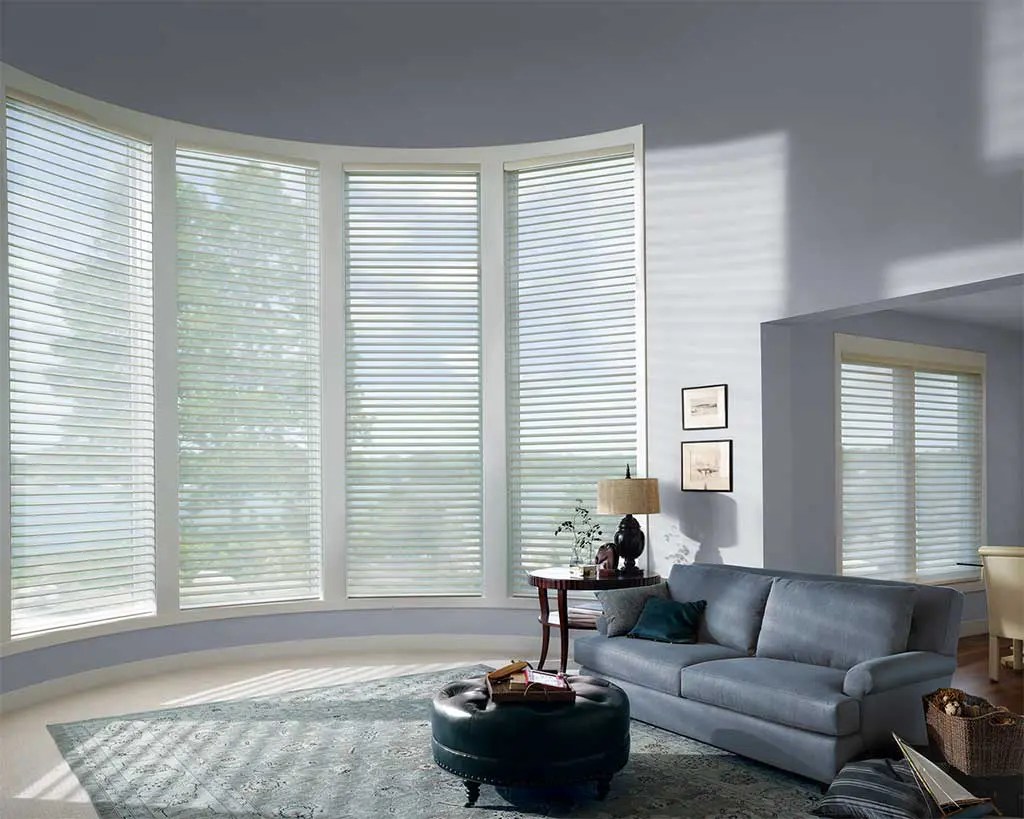 Silhouettes are shades with soft adjustable fabric vanes that float between two sheer panels
