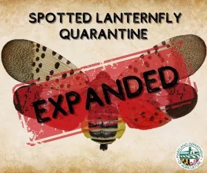 Read more about the article Maryland Department of Agriculture Expands Spotted Lanternfly Quarantine Zone