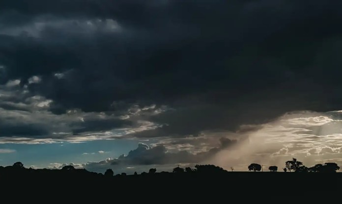 v0030538.webp