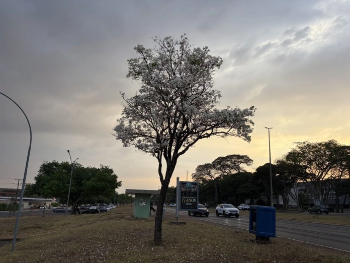 IMG_0012-scaled.jpeg