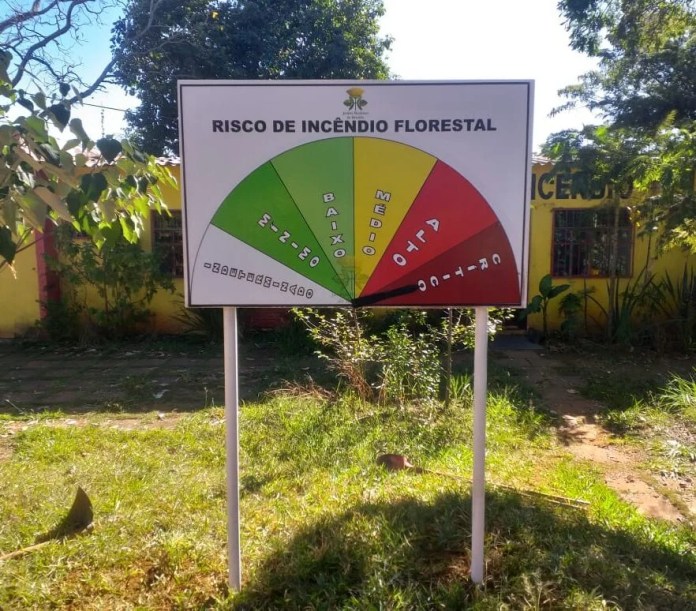 Bota1.jpeg