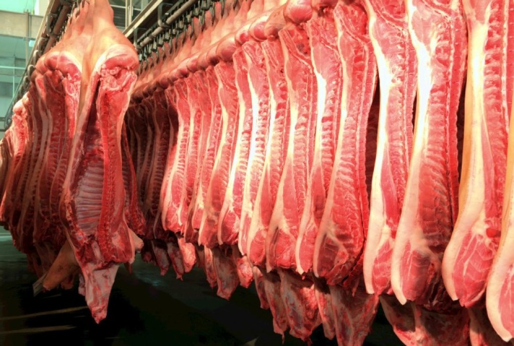 Crescimento nas Exportações de Carne Suína em Fevereiro Impulsiona Receita em 32,6%