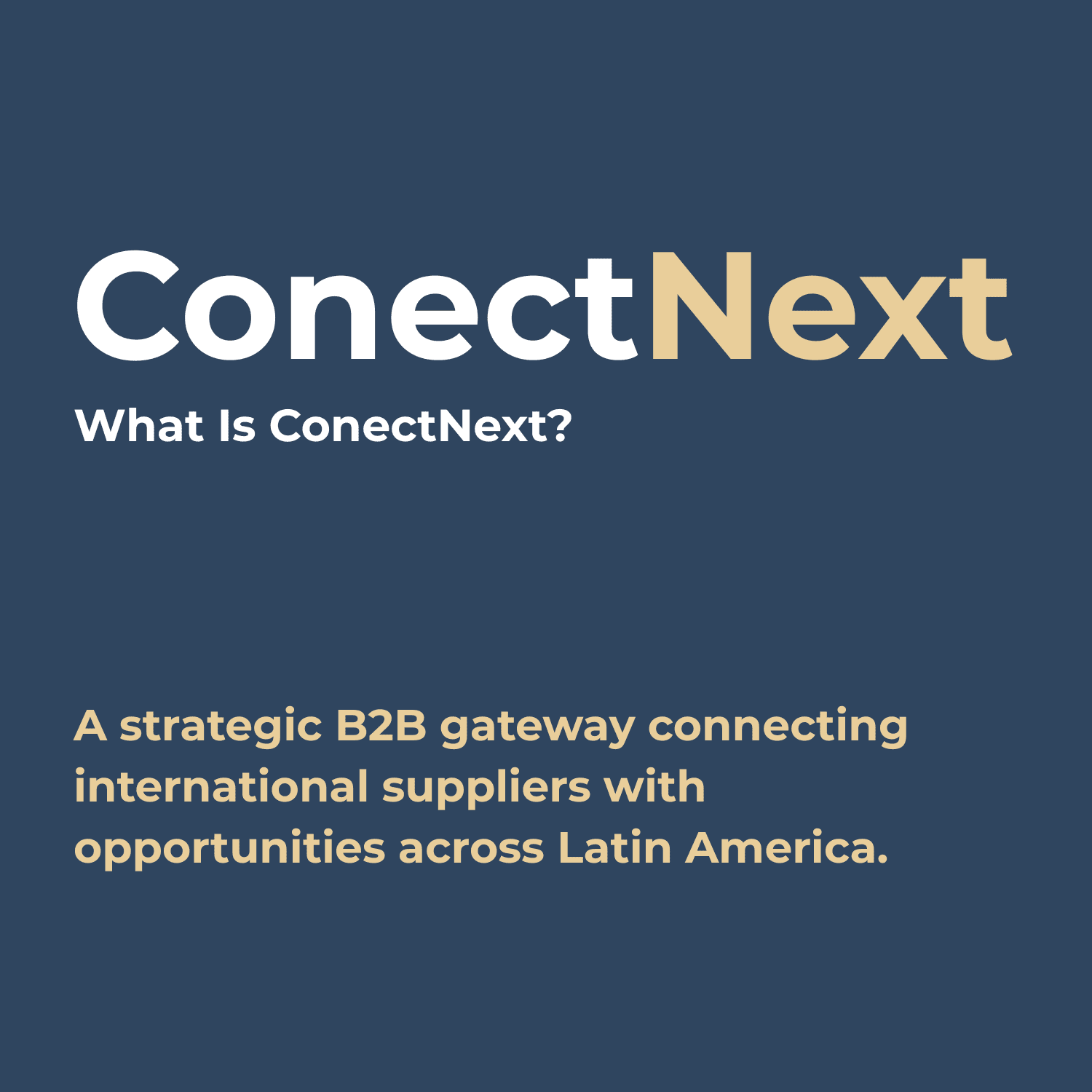 A strategic B2B gateway connecting international suppliers with opportunities across Latin America.