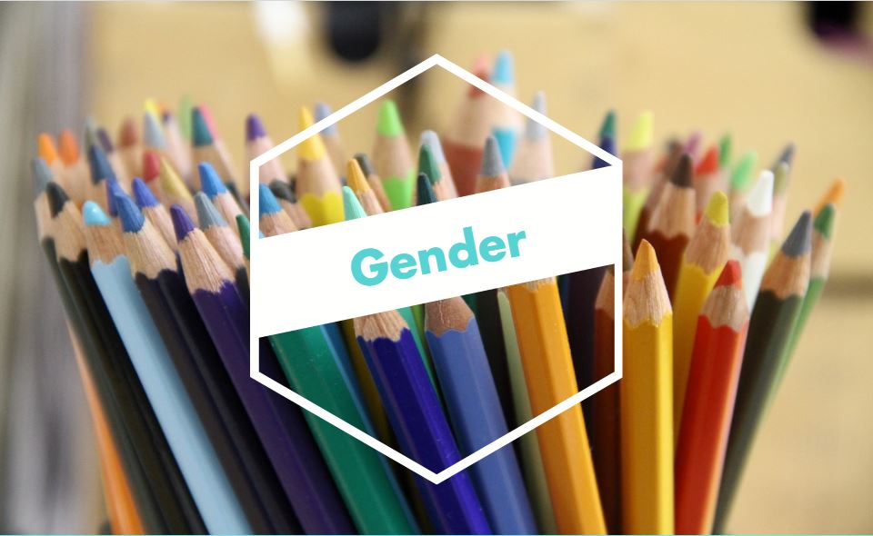 What is gender and transgender