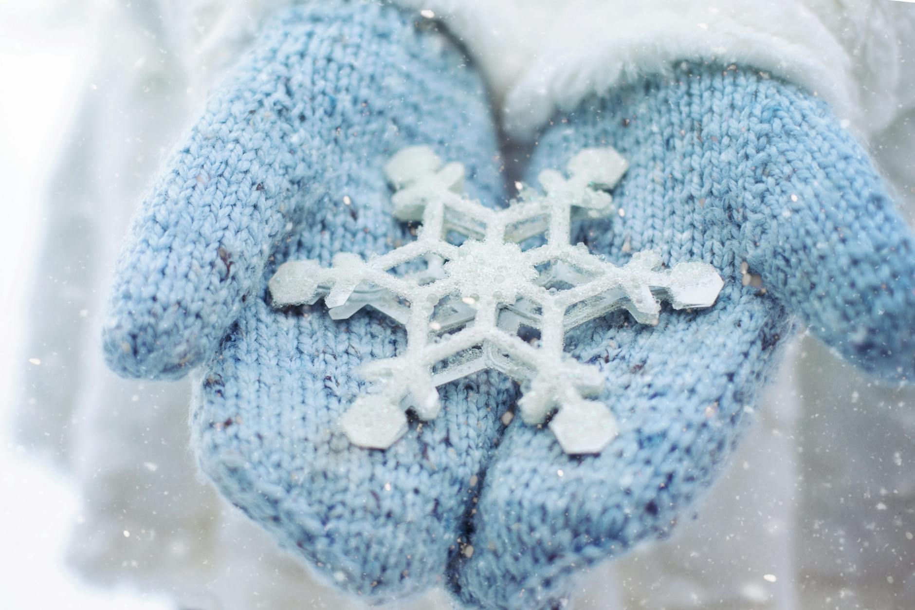 person holding snowflakes decor
