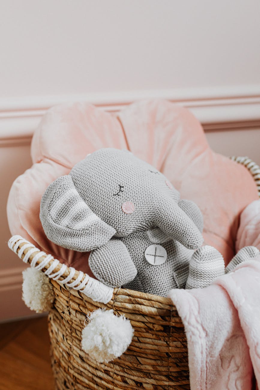plush toy in a basket